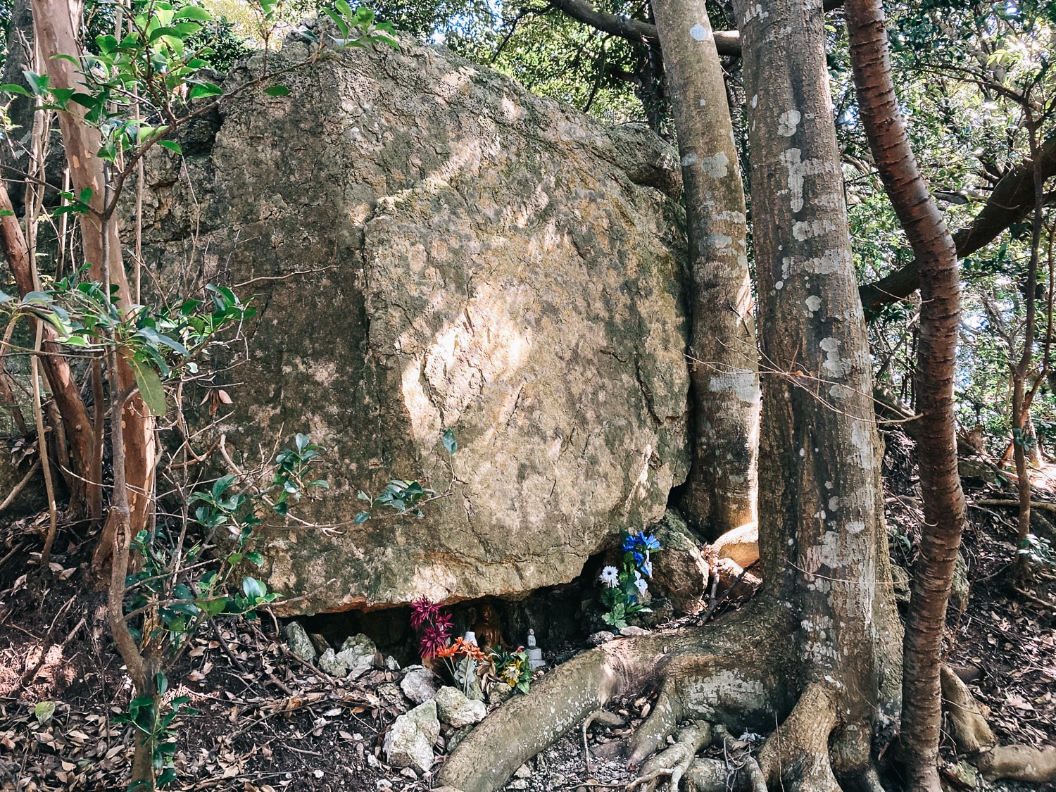 大きな岩の下の仏像